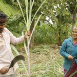 ‘நூறு சாமி’- திரை விமர்சனம்