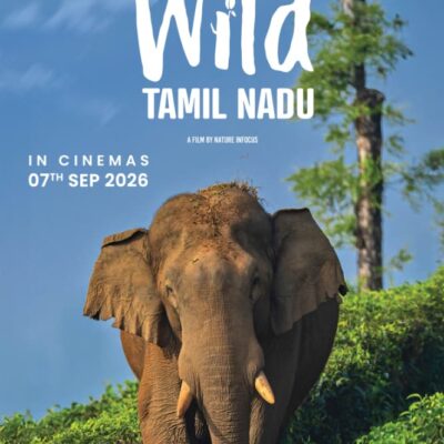 காட்டின் அழகும் வனவிலங்குகளின் வாழ்வும் சொல்லும் ‘வைல்ட் தமிழ்நாடு’!