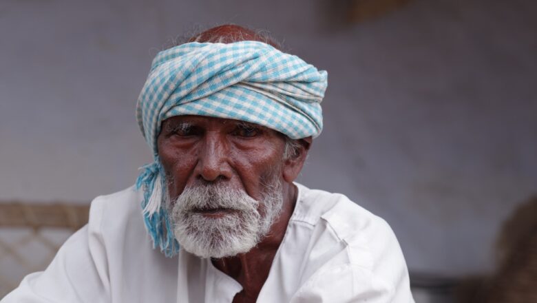 தமிழ் சினிமாவின் பெருமையை உலகின் உச்சிக்கு கொண்டுசென்ற ‘கடைசி விவசாயி’